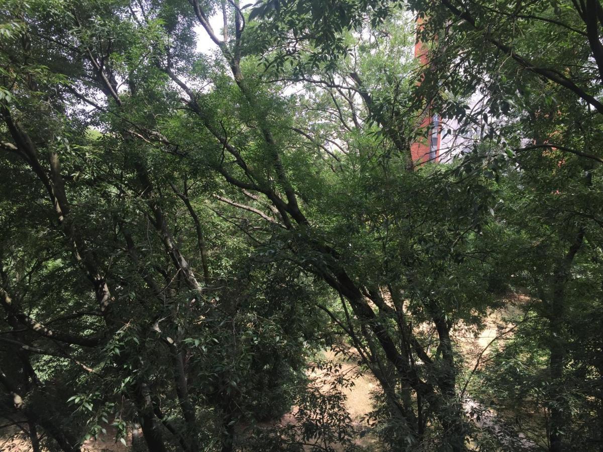 莉吉嘉娜公寓 贝尔格莱德 外观 照片