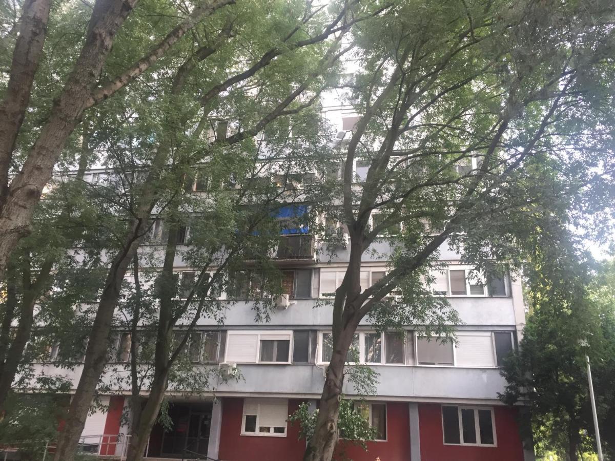 莉吉嘉娜公寓 贝尔格莱德 外观 照片